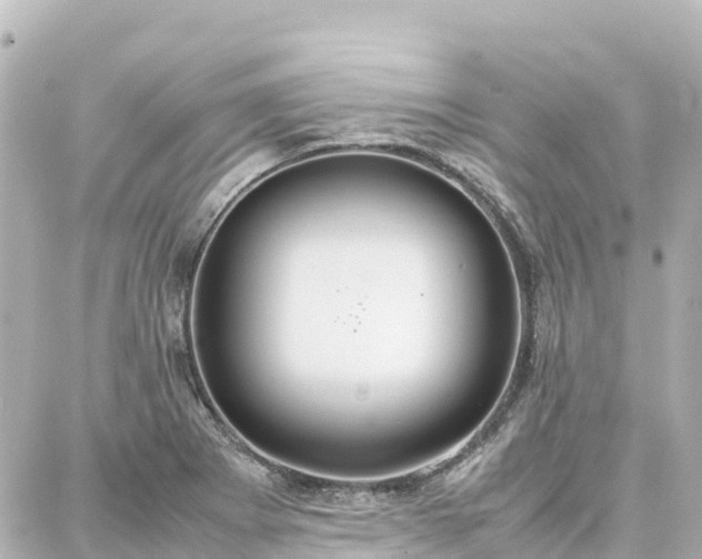 X0000088421273200705291451