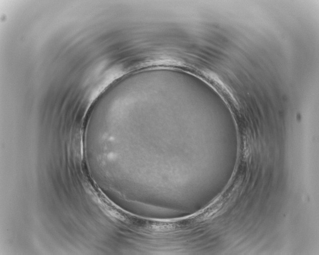 X0000088421274200705291451