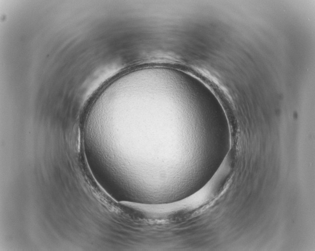 X0000088421317200705291450