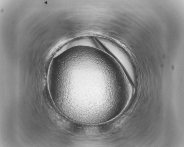 X0000088421363200705291449