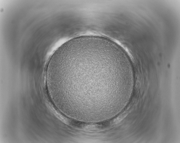 X0000088421367200705291449
