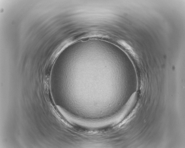 X0000088421369200705291449