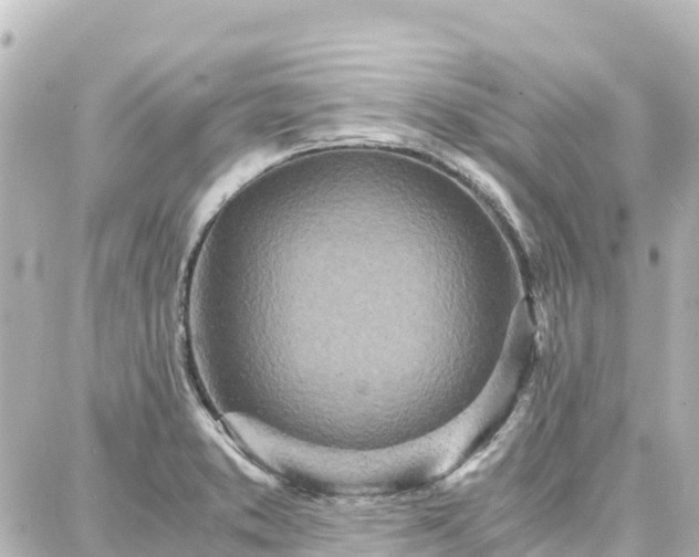 X0000088421373200705291449