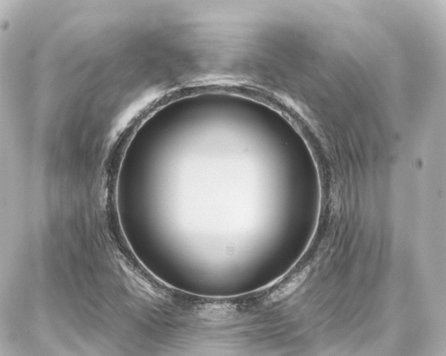 X0000088421406200705291448