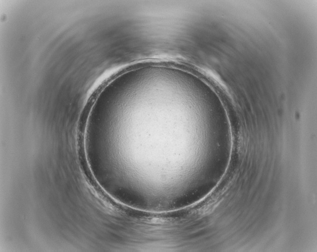 X0000088421412200705291448