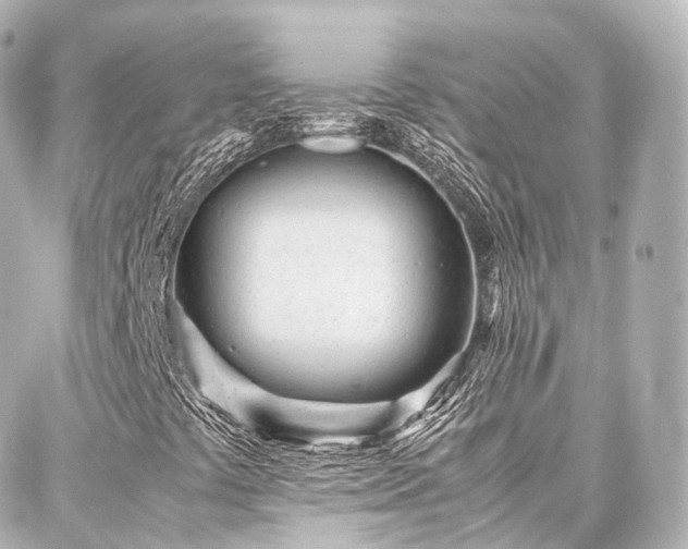 X0000088421441200705291448