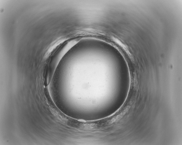 X0000088421453200705291448
