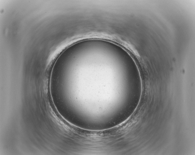 X0000088421504200705291447