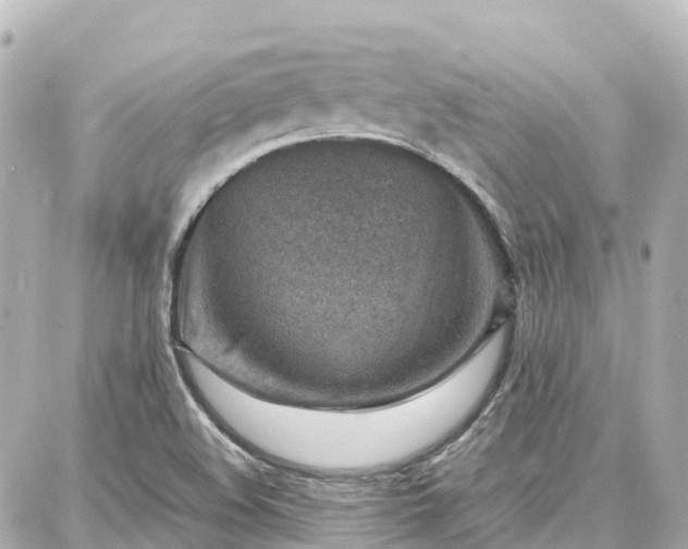 X0000088421508200705291447