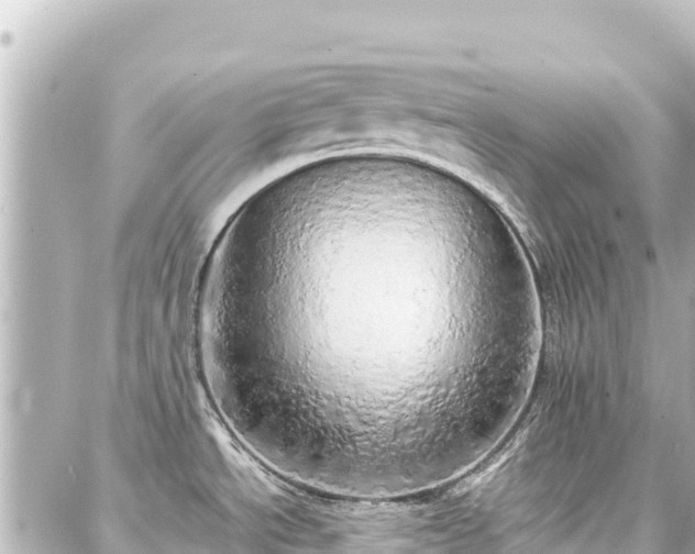 X0000088421534200705291447