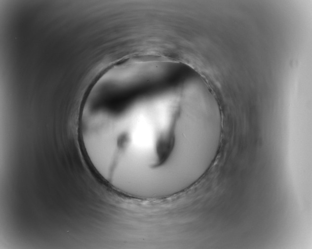 X0000088420003200706051220