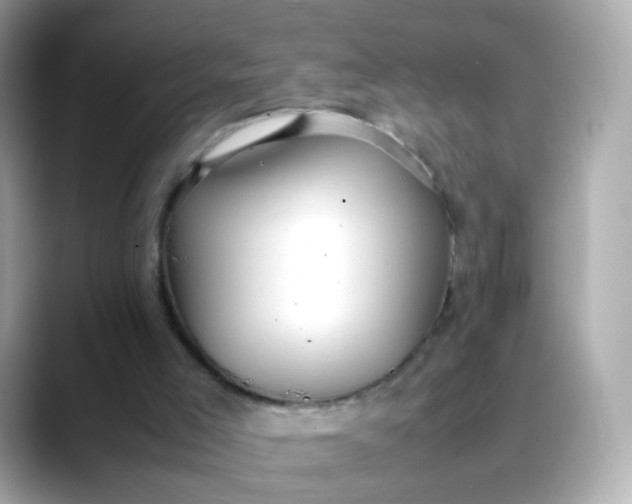X0000088420005200706051220