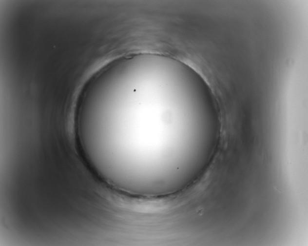 X0000088420008200706051220