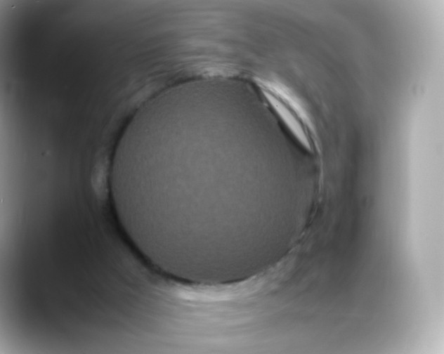 X0000088420009200706051220