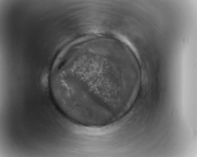 X0000088420010200706051220