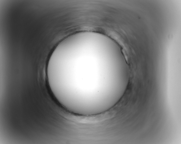 X0000088420011200706051220