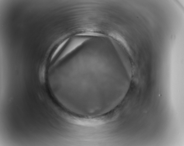 X0000088420012200706051220