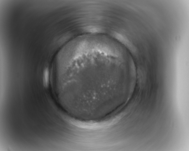 X0000088420014200706051220