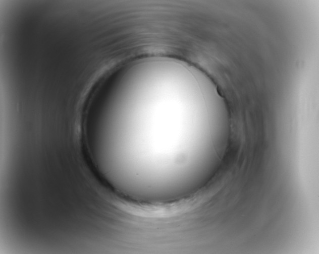 X0000088420015200706051220