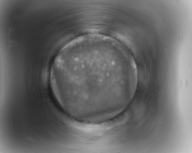 X0000088420016200706051220