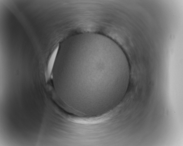 X0000088420017200706051220
