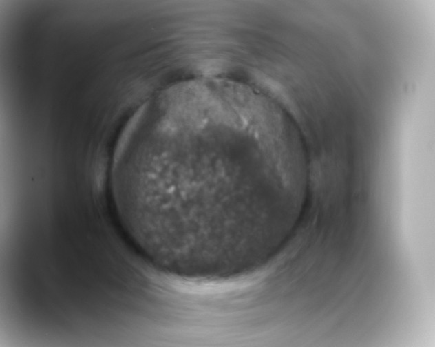 X0000088420018200706051220