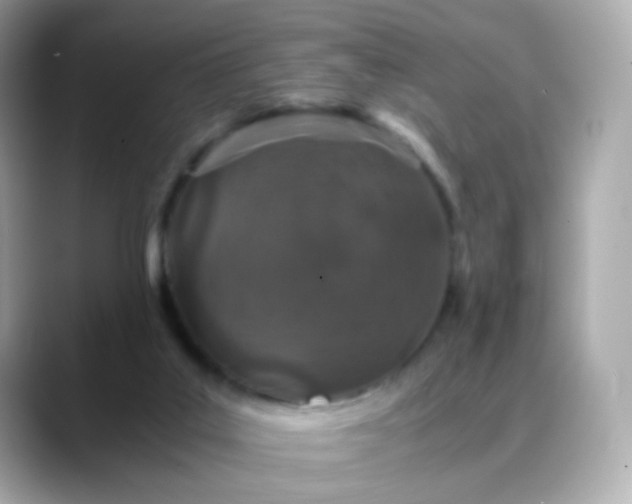 X0000088420019200706051220