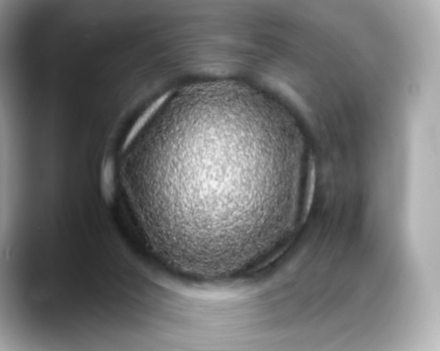 X0000088420020200706051220
