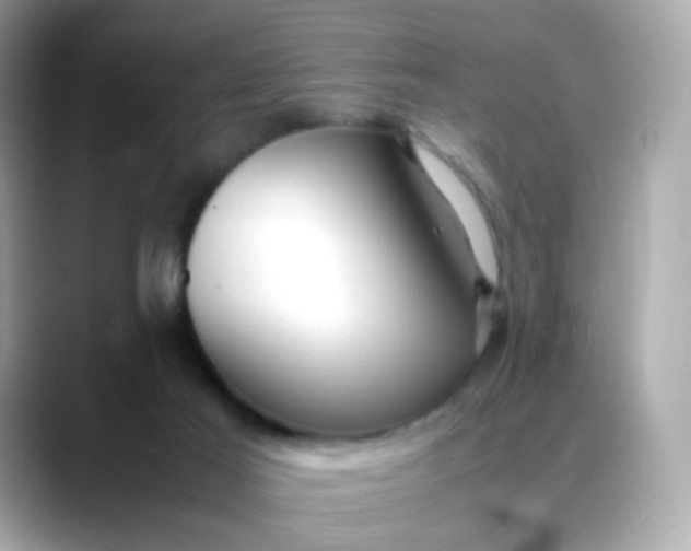 X0000088420021200706051220