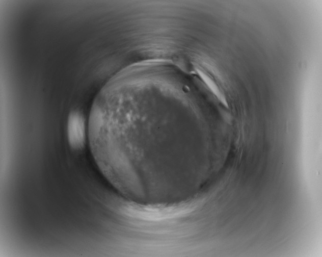 X0000088420022200706051220