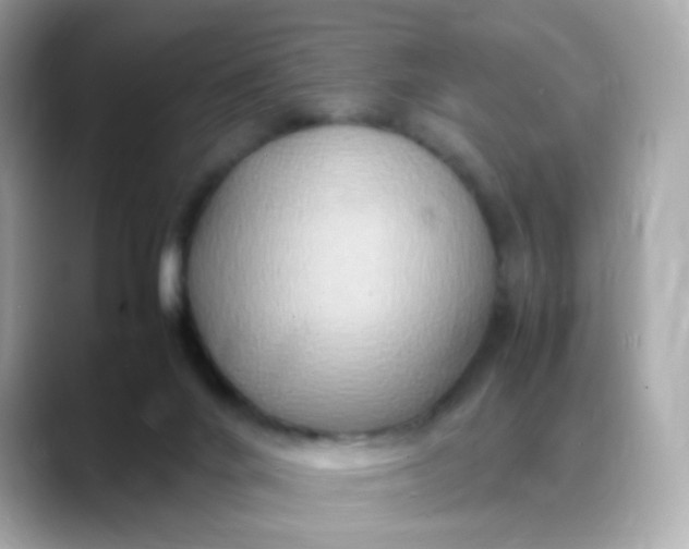 X0000088420024200706051220