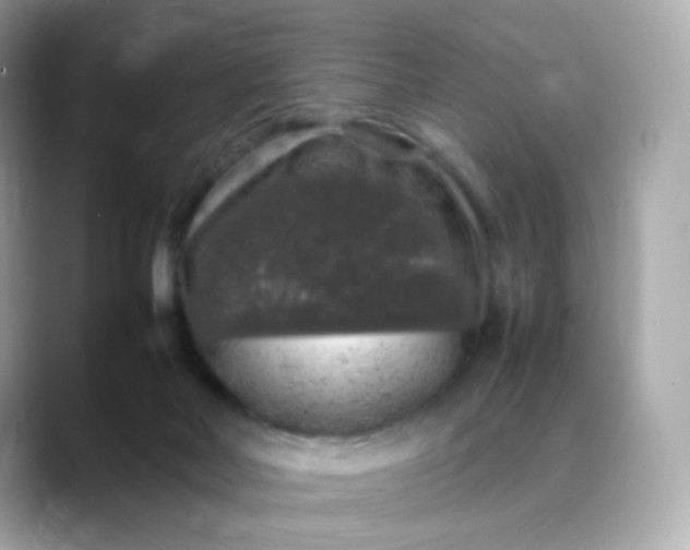 X0000088420026200706051220