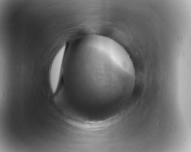 X0000088420027200706051220