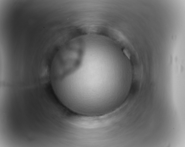 X0000088420029200706051220