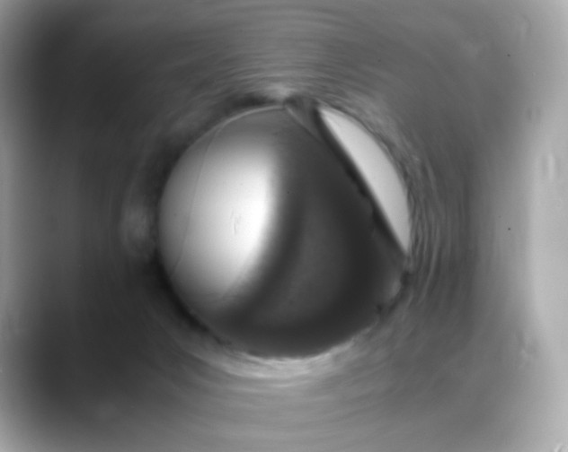 X0000088420031200706051220