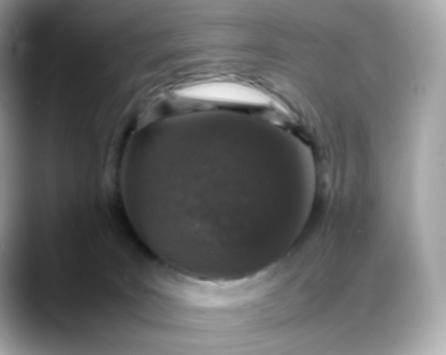 X0000088420035200706051219