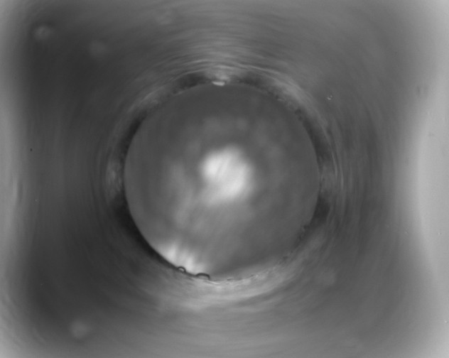 X0000088420043200706051219