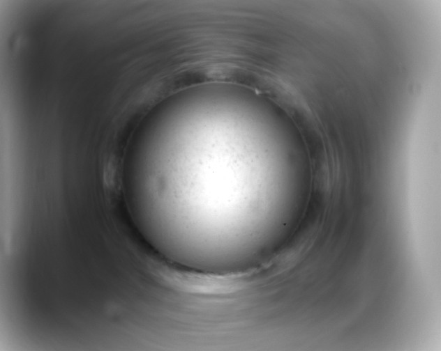 X0000088420044200706051219