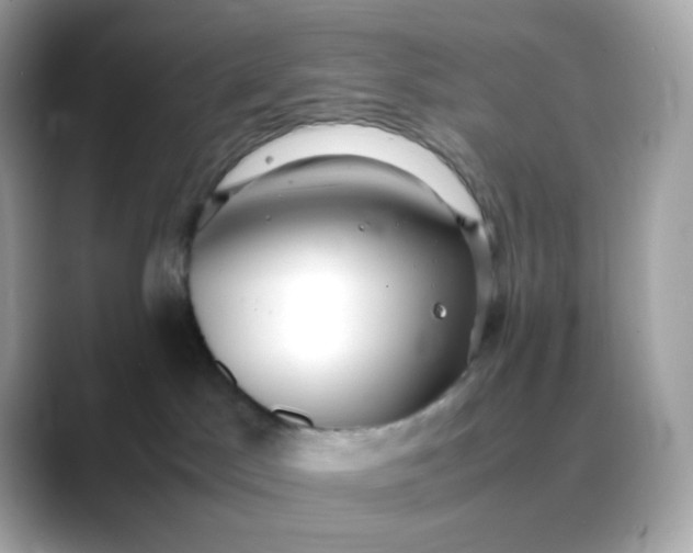 X0000088420045200706051219