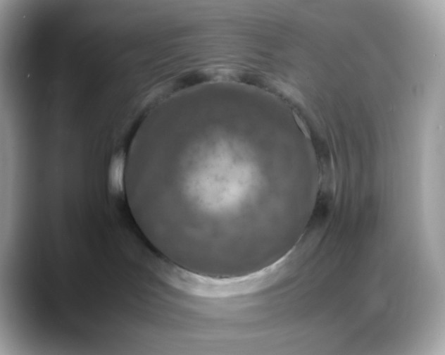 X0000088420047200706051219