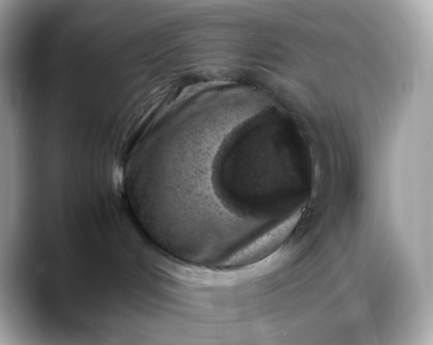 X0000088420048200706051219