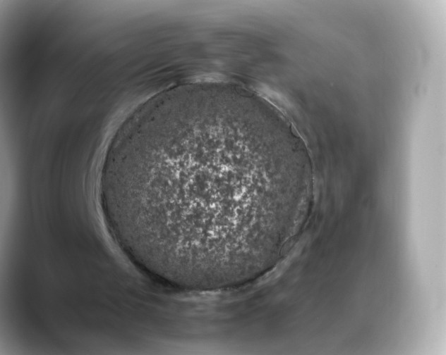 X0000088420049200706051219