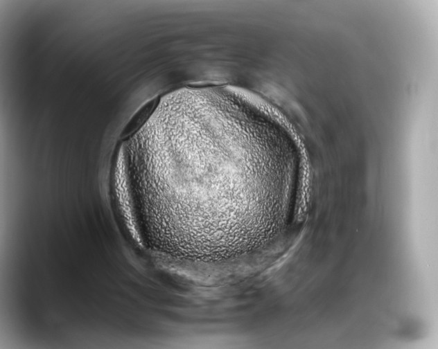 X0000088420051200706051219
