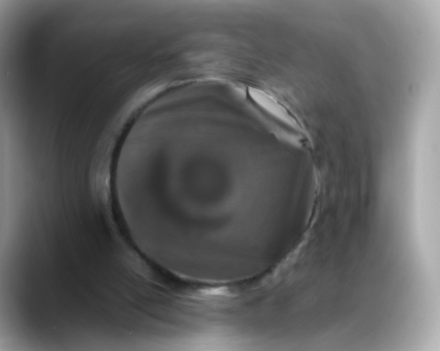 X0000088420054200706051219