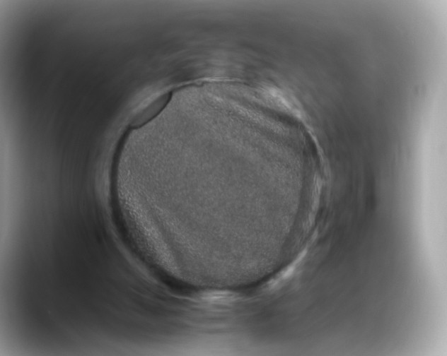 X0000088420055200706051219