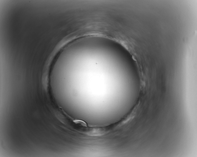 X0000088420056200706051219