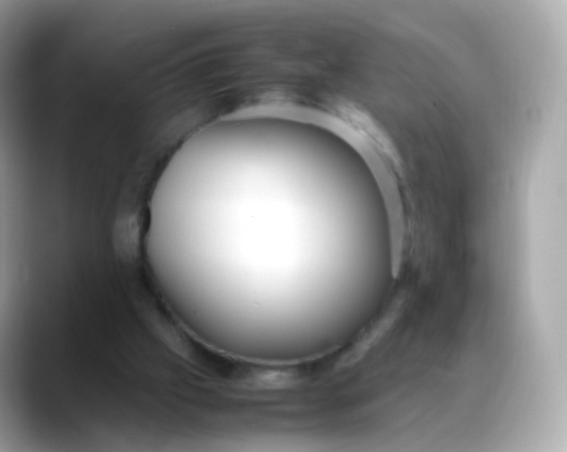 X0000088420057200706051219