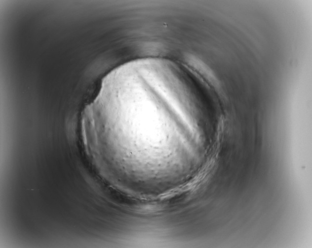 X0000088420058200706051219