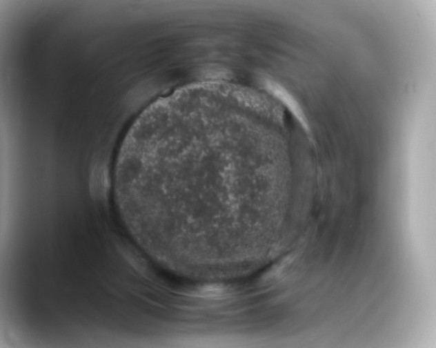 X0000088420059200706051219