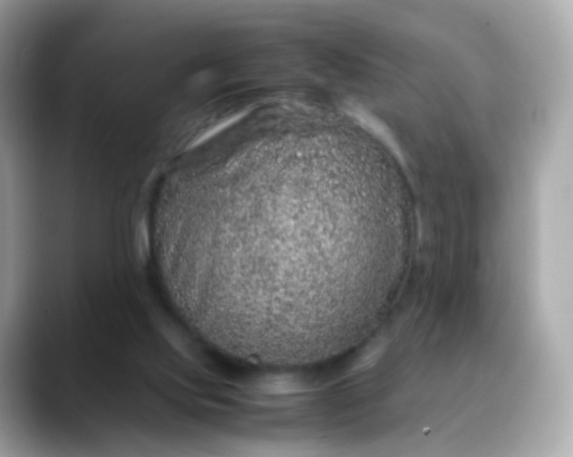 X0000088420061200706051219